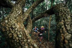 BIB: 
                            <button type="button" onclick="openModal(25393340)" class="btn btn-primary btn-sm float-right btn-popup" data-toggle="modal" data-target=".modal-high-quality">
                        <i class="fas fa-shopping-cart"></i> Add to Cart
                    </button>
                                            <button type="button" onclick="isThisMe(25393340, true)" class="btn btn-success btn-sm float-right btn-popup btn-isme hidden" data-toggle="tooltip" data-placement="bottom" title="นี่คือรูปของคุณใช่ไหม คลิกที่นี่เพื่อเอาเข้าอัลบั้ม">
                        <i class="fas fa-plus"></i> Add to album
                    </button>
                    <button type="button" onclick="isThisMe(25393340, false)" class="btn btn-warning btn-sm float-right btn-popup btn-isnotme hidden">
                        <i class="fas fa-ban"></i> Remove from album
                    </button>